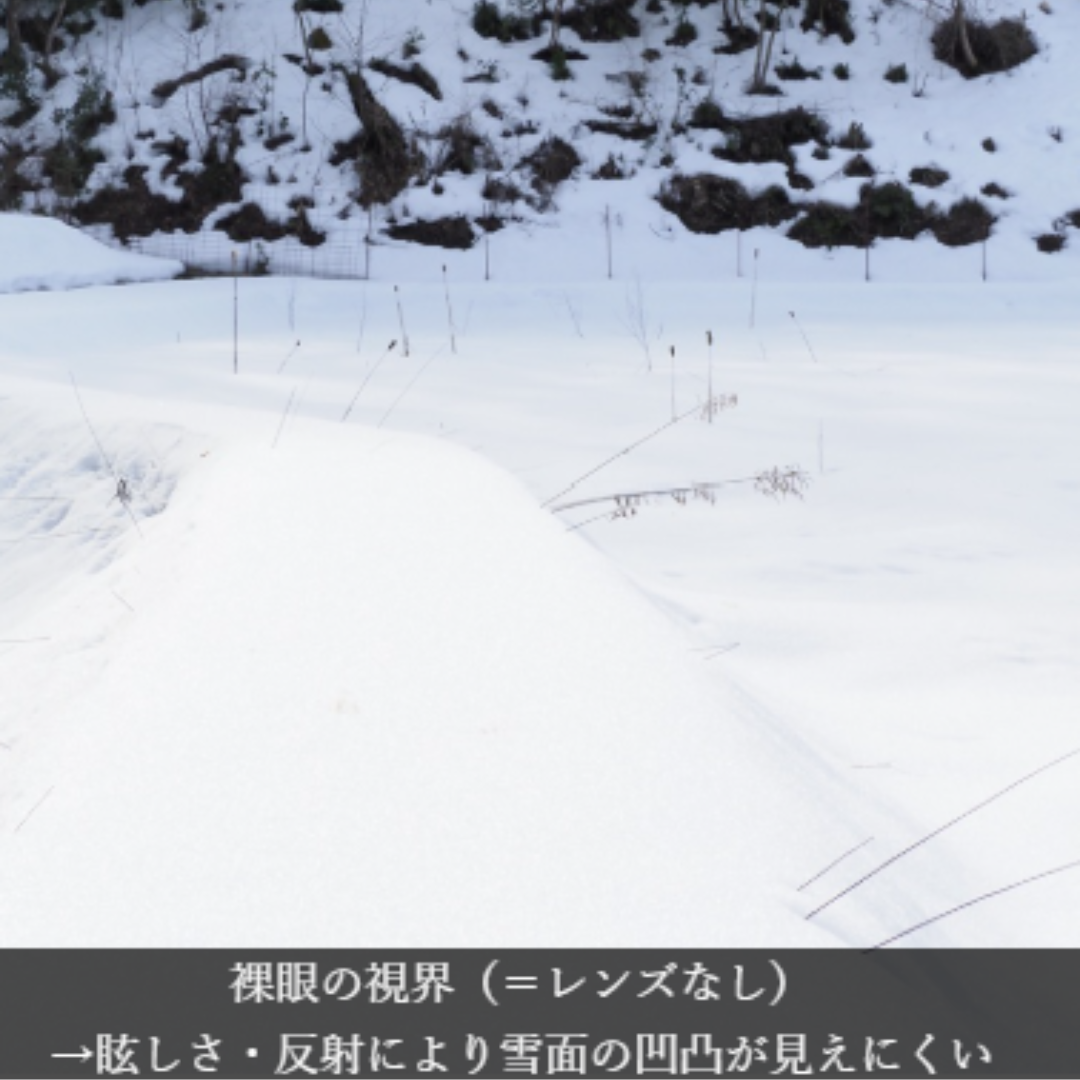 Niho NH-103 COL.2 / ボストン型 偏光サングラス(ブラックxグレーレンズ)