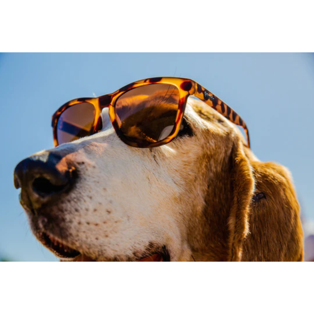 Goodr【OG】BOSLEY'S BASSET HOUND DREAMS / グダー ボズリーズ バセット・ハウンド ドリームズ