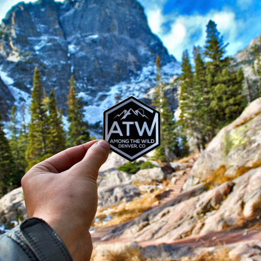 02. ATW Logo / ATW ロゴ ステッカー