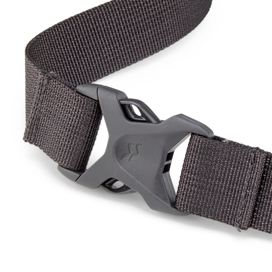 Protium 6 / プロティウム 6