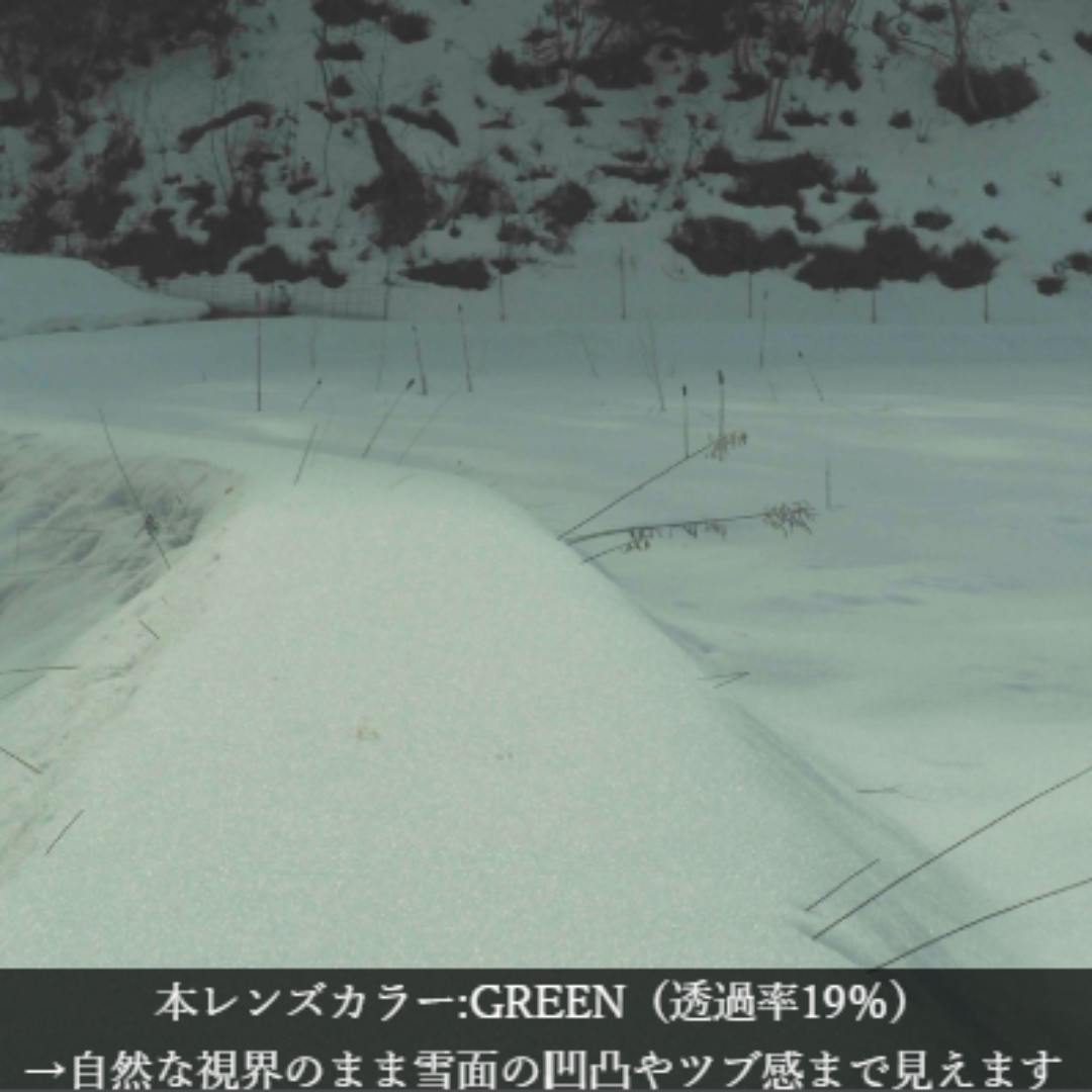 Niho NH-103 COL.4 / ボストン型 偏光サングラス（ブラウンべっ甲xグリーンレンズ）