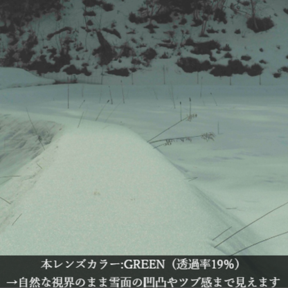 Niho NH-102 COL.4 / ラウンド型 偏光サングラス（ライトブラウンフレームxグリーンレンズ）