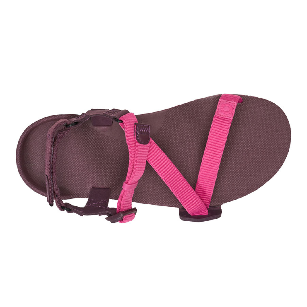 Xero Shoes Men's H-TRAIL