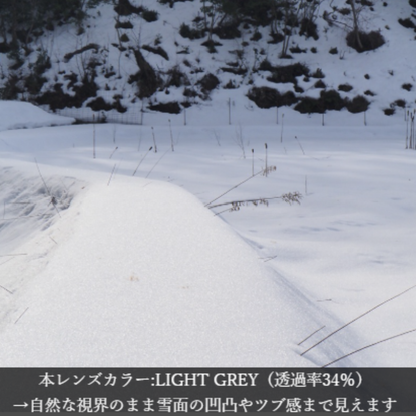 Niho NH-103 COL.3 / ボストン型 偏光サングラス（ライトグレーxライトグレーレンズ）