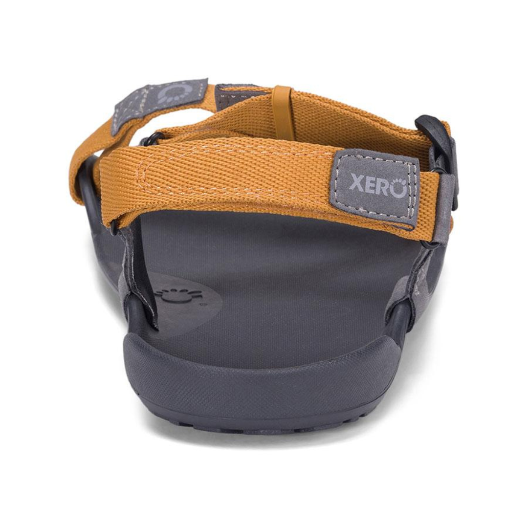 Xero Shoes Mens Z-Trek 2 / ゼロシューズ メンズ ゼットトレック 2