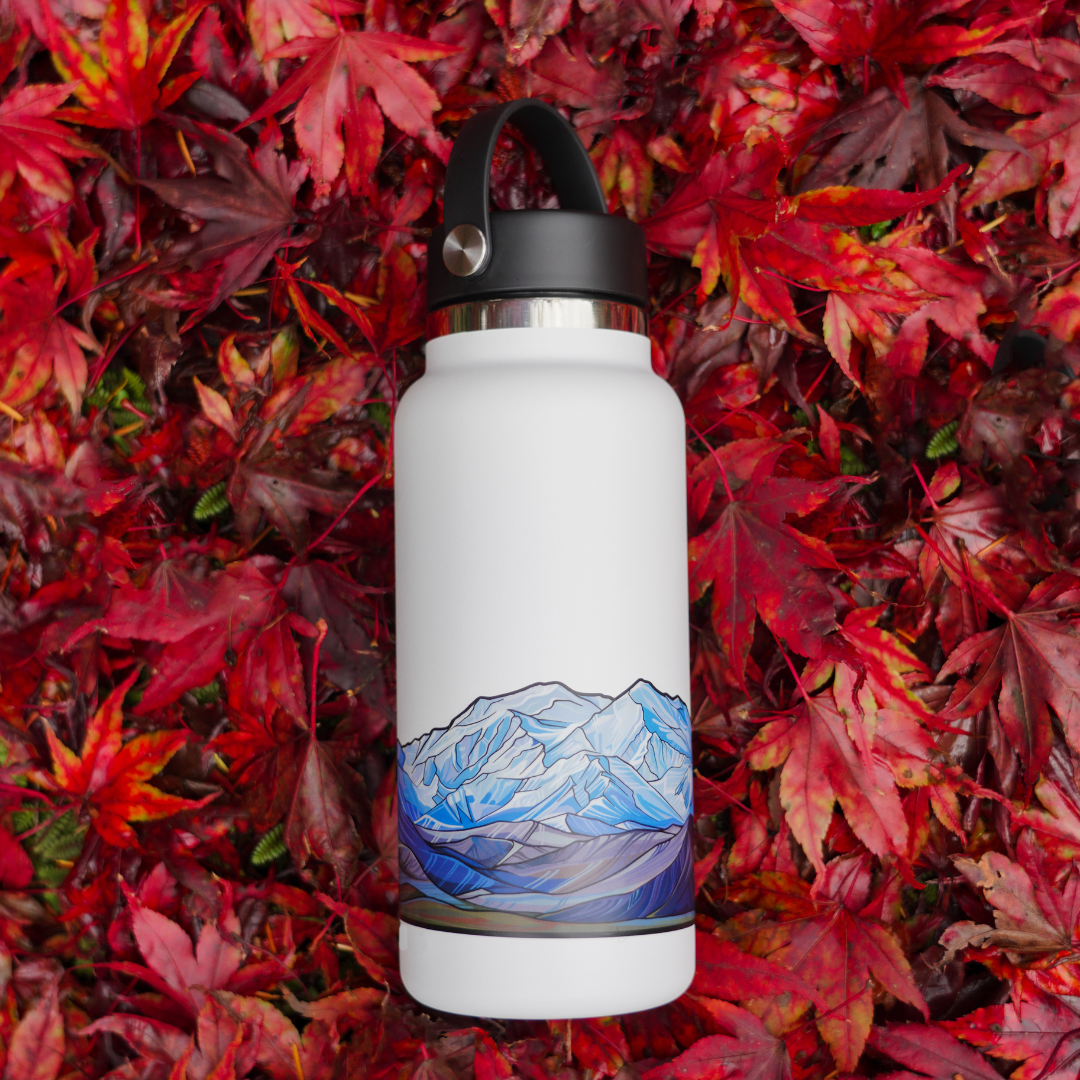 00. Denali National Park Infinity Sticker