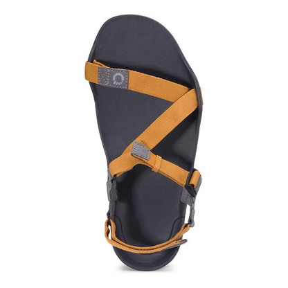 Xero Shoes Mens Z-Trek 2 / ゼロシューズ メンズ ゼットトレック 2