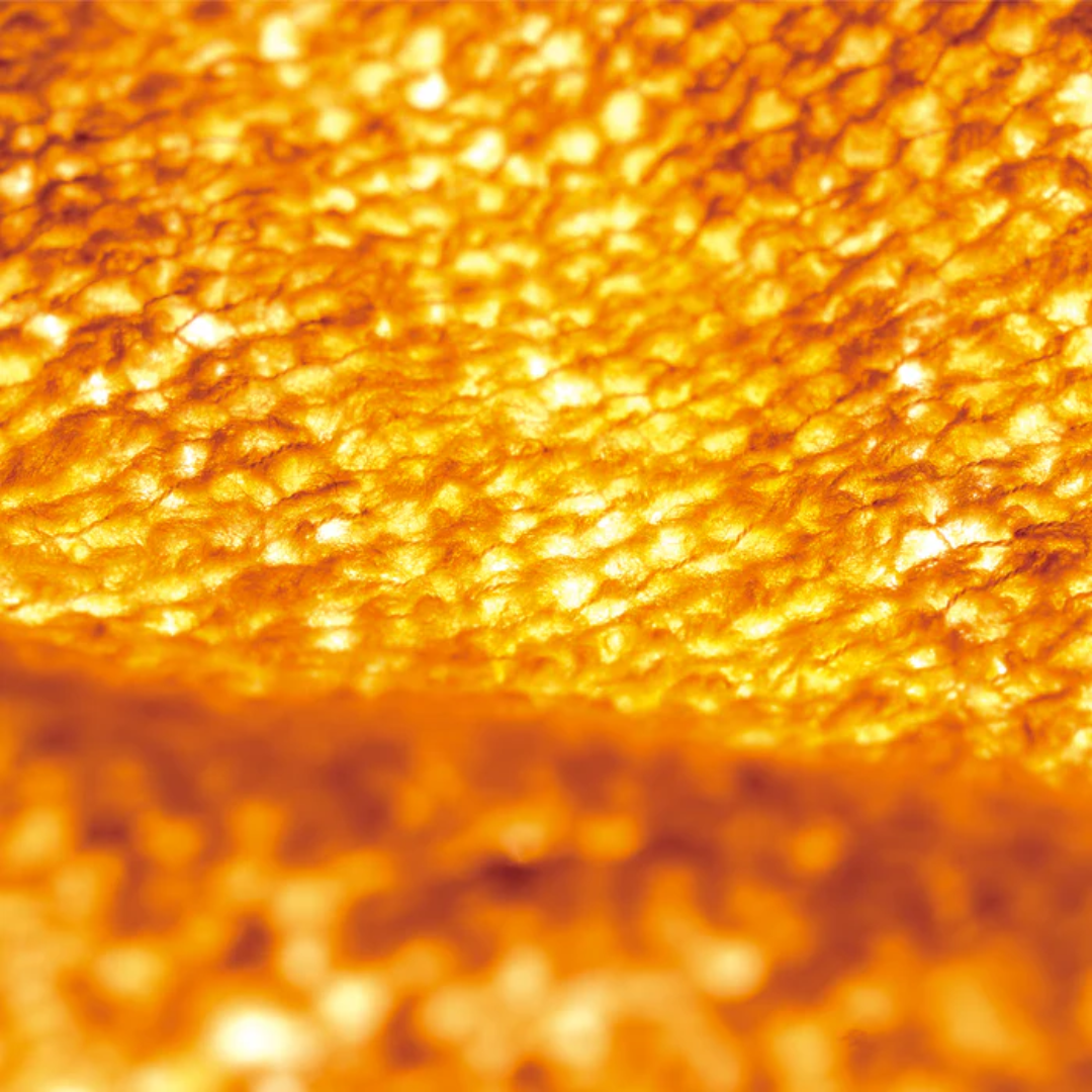 Roar Hi-Loft Sox / ロアー ハイロフト ソックス