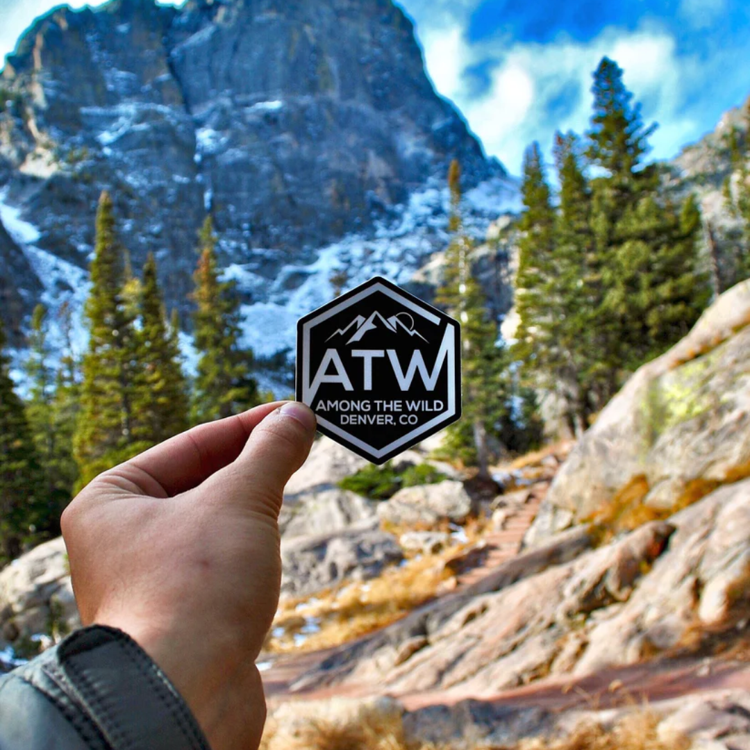 02. ATW Logo / ATW ロゴ　ステッカー