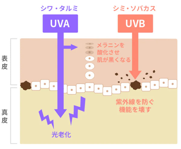 森で、日やけ止め。 / 50g