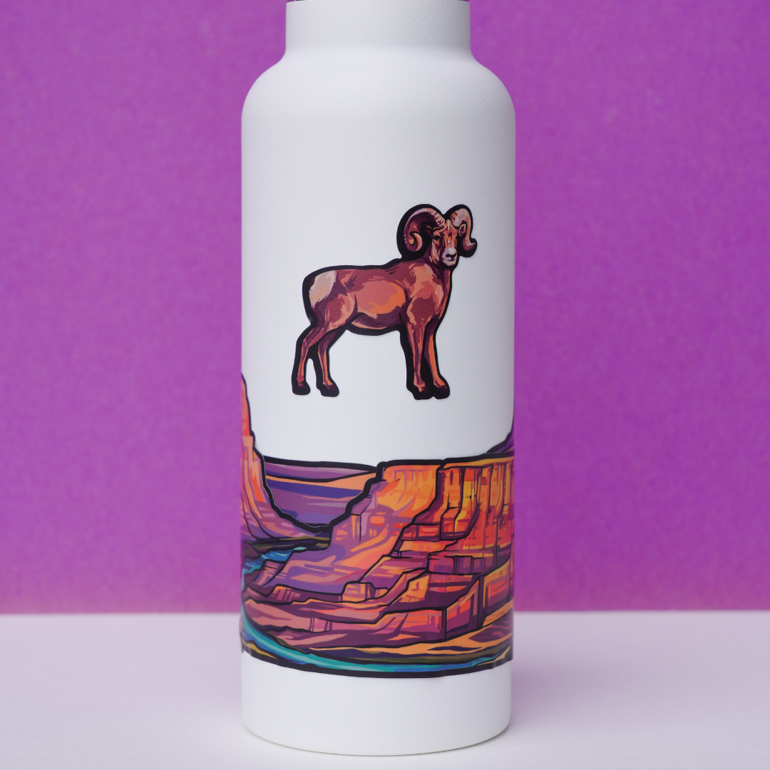 00. Grand Canyon National Park Infinity Stickers