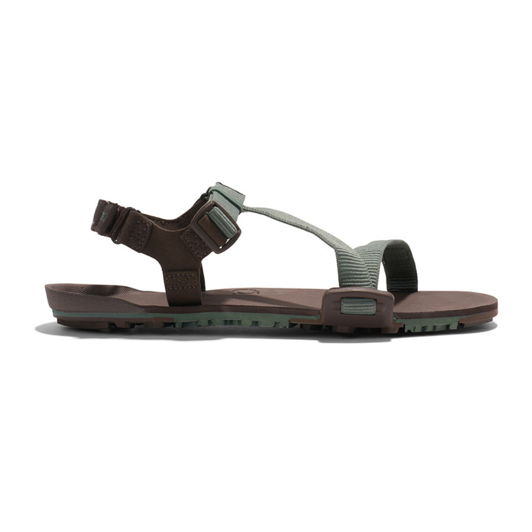 Xero Shoes Mens Z-TRAIL EV / ゼロシューズ メンズ Z-トレイルEV